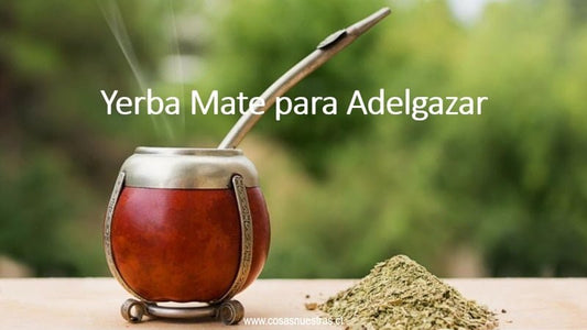 Yerba Mate para Adelgazar