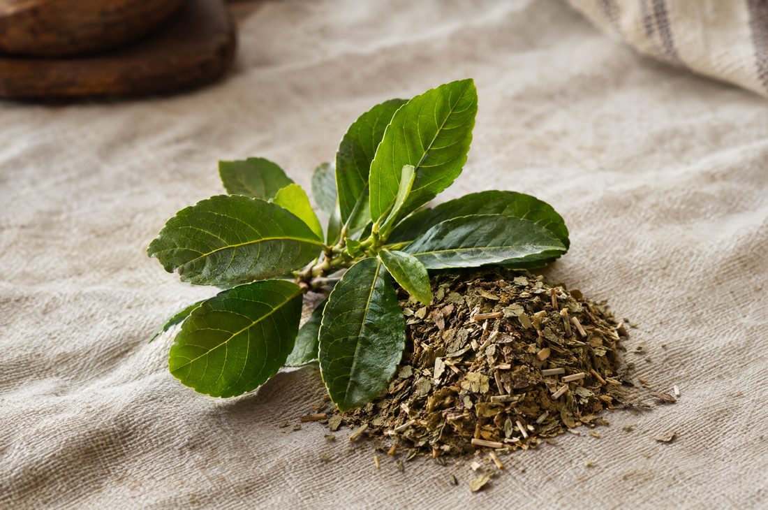 Propiedades del mate: Energía, buena salud y felicidad