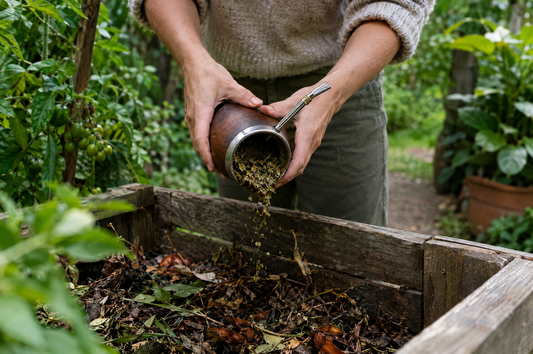 Cada cuánto cambiar la yerba del Mate